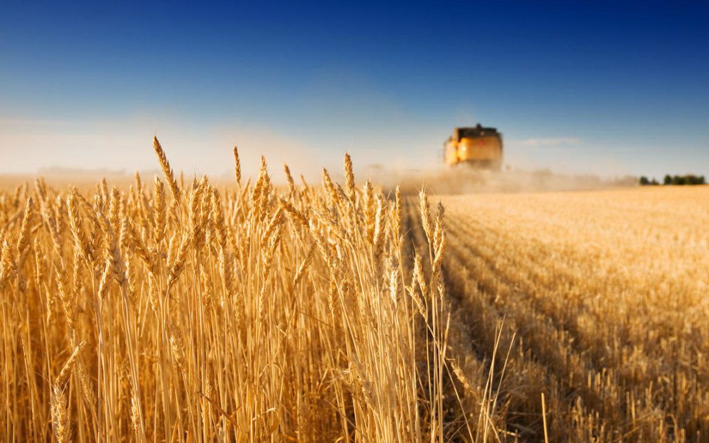 В Винницкой области выделили 6 миллиардов для развития аграрной промышленности