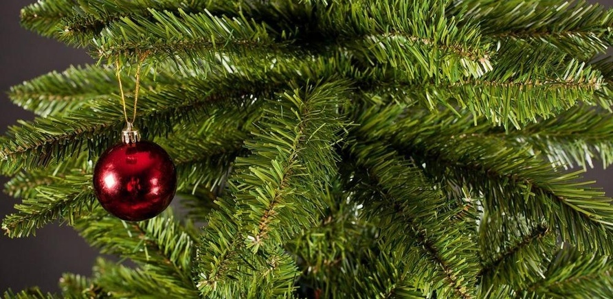 Дніпровську новорічну ялинку зроблять з 12 тисяч соснових гілок