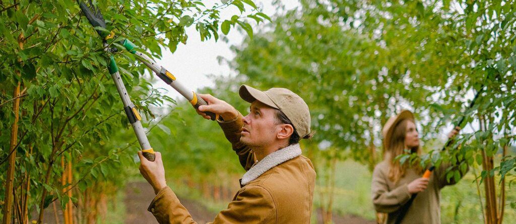 Працівники доглядають зелені насадження у міському парку